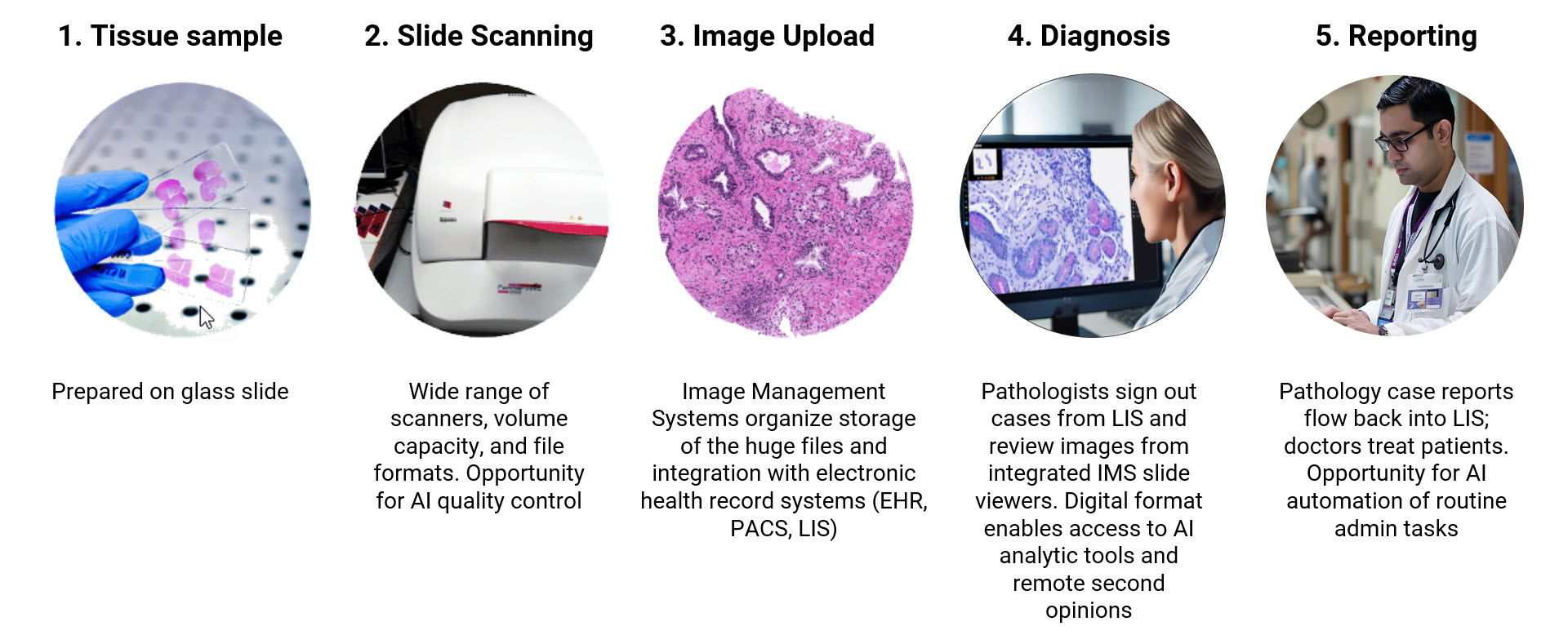 The same workflow digitised, with whole-slide imaging in place of glass