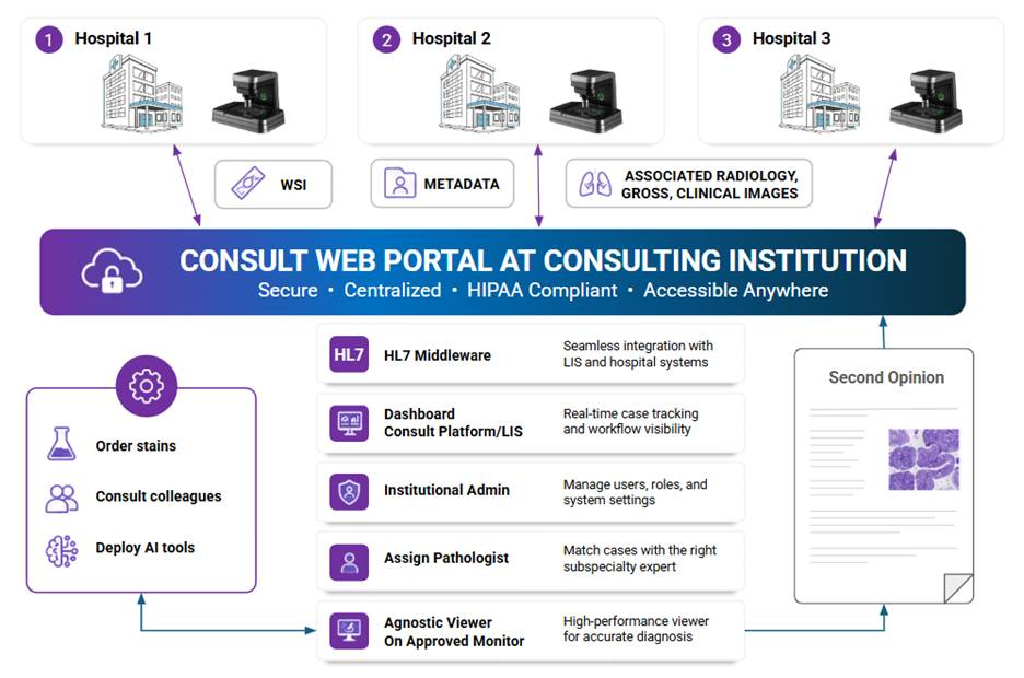 The consultation workflow, from case creation to the remote specialist's report