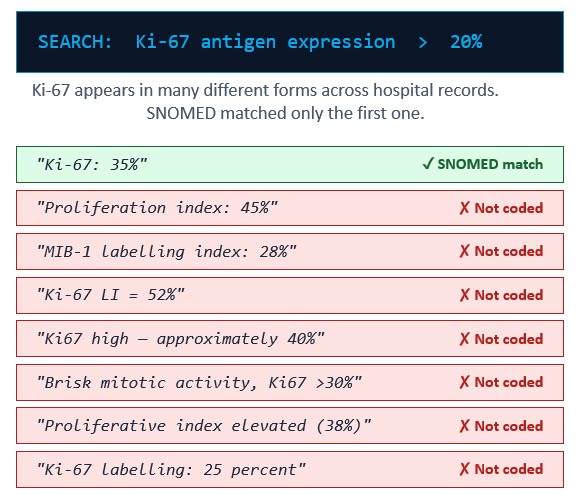 Ki-67 search results